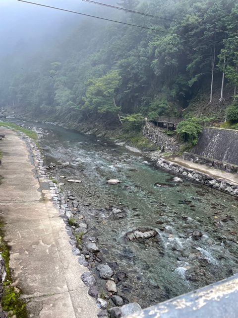 奈良県吉野郡の友釣りで鮎釣果