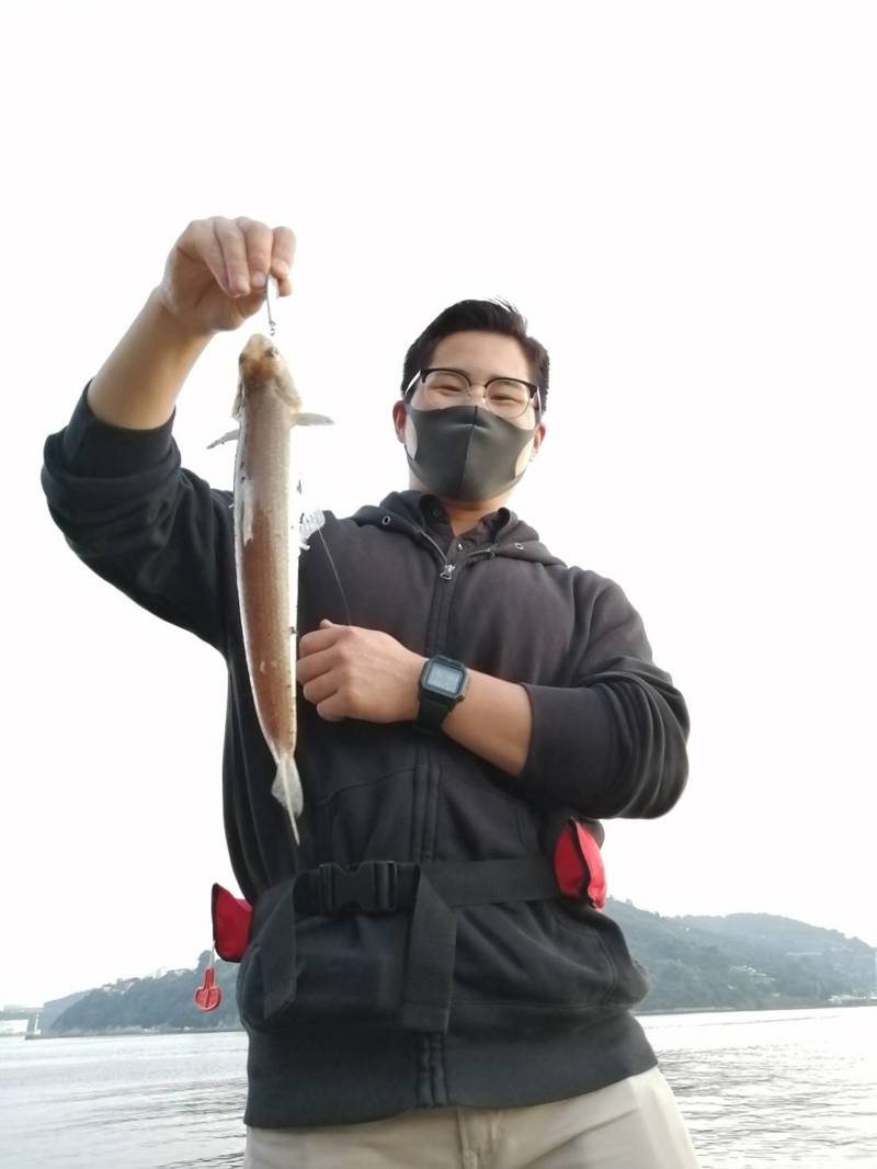 和歌山県紀北のワインド、エギングでタチウオ・アオリイカ釣果