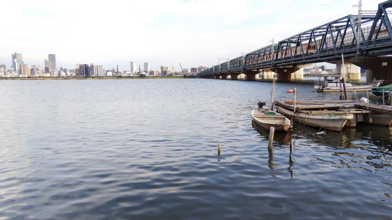大阪府淀川のミャク釣りでハゼ釣果