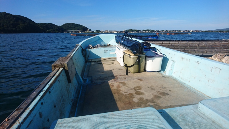 京都府京丹後市の筏釣りでチヌ釣果