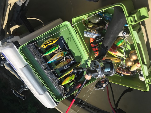 奈良県布目ダムの管理釣り場で釣果