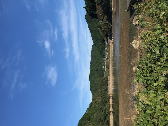 奈良県布目ダムの管理釣り場で釣果