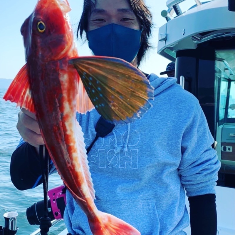 兵庫県淡路島観光ホテルの船釣り鯛・メジロ釣果