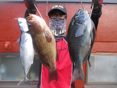 三重県尾鷲市梶賀の磯釣りで口太釣果