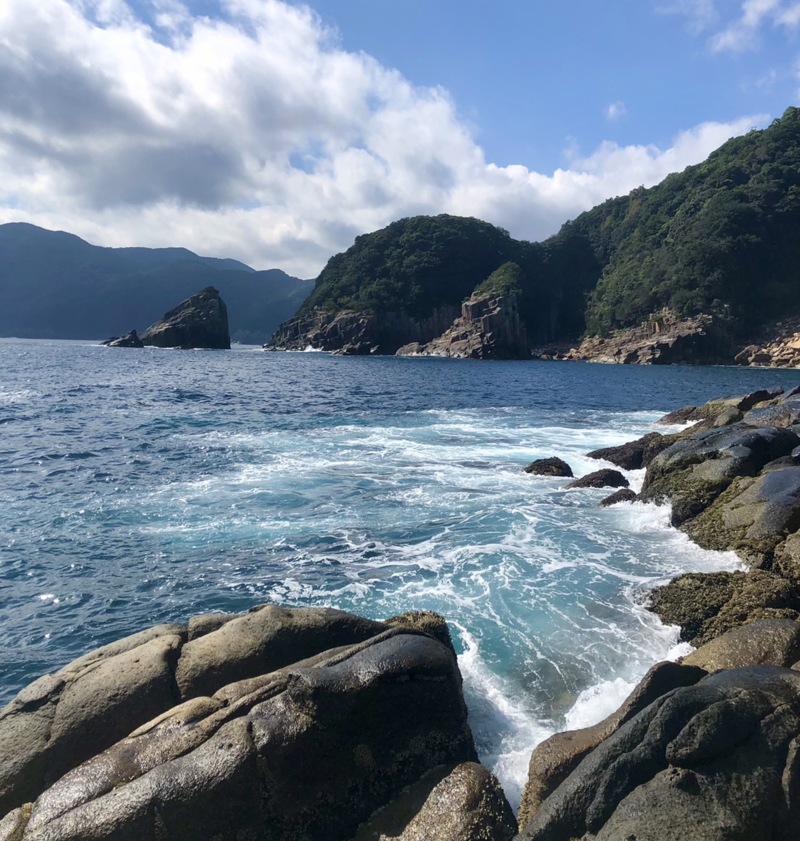 三重県尾鷲市梶賀の磯釣りで口太釣果