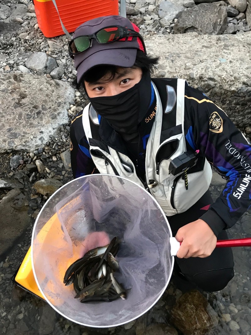 和歌山県有田郡の有田川で鮎釣果