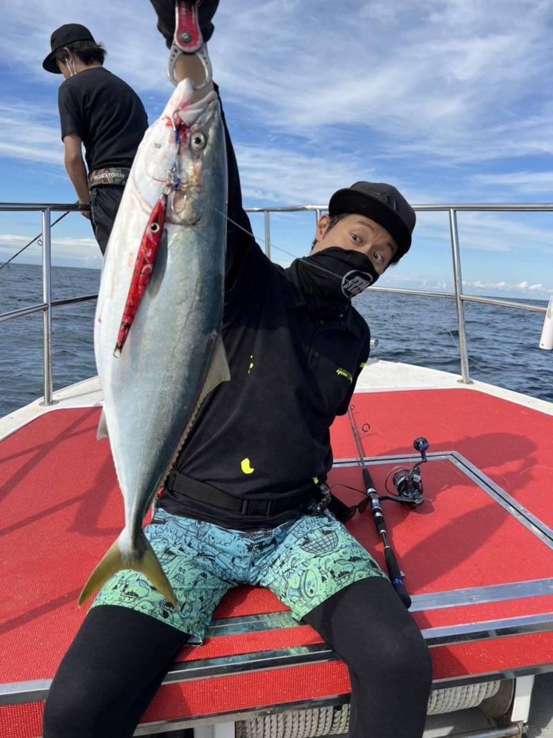 京都府宮津エビスの船釣りでメジロ釣果