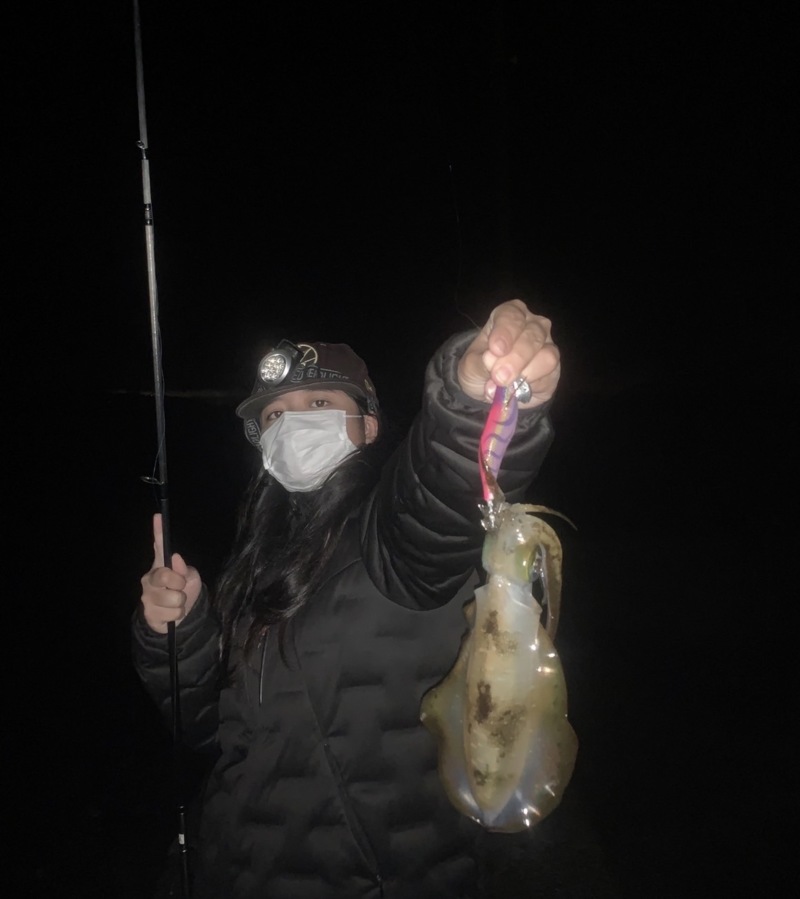 京都府伊根宮津のエギングでアオリイカ釣果