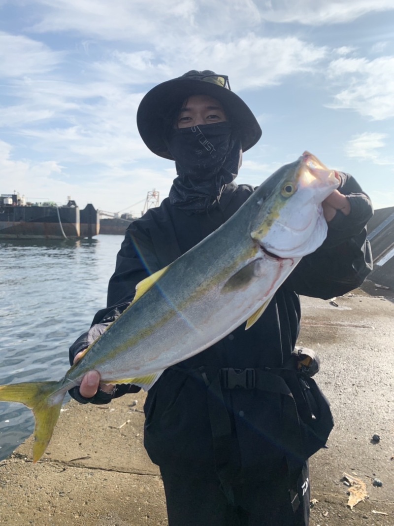 兵庫県西宮市 西野渡船の船釣りでハマチ釣果