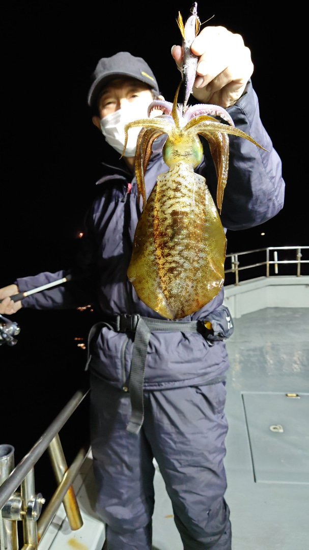福井県若狭湾小浜 F-CLOUD雲丸の船釣りでアオリイカ釣果