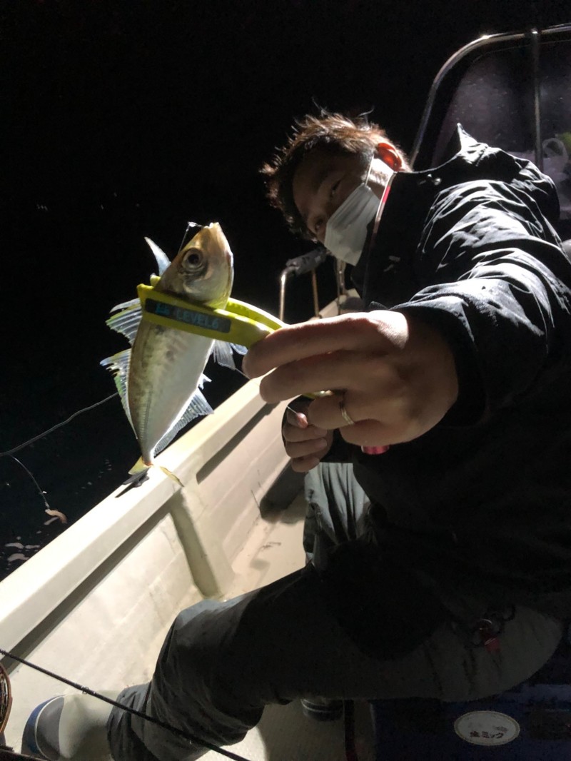 和歌山県田辺湾の船釣りでアジ・サバ・太刀魚釣果