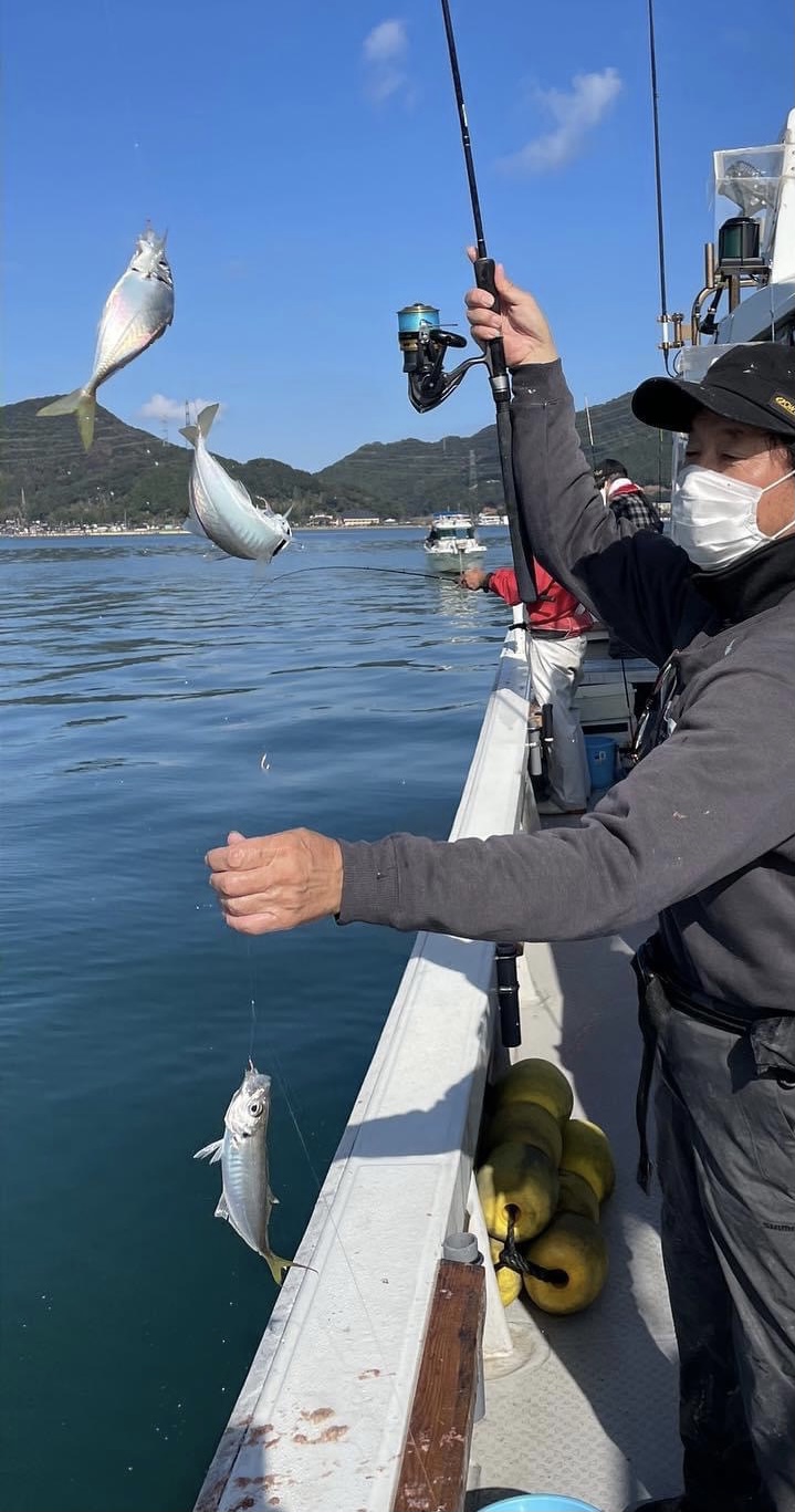 福井県小浜湾 田中渡船の船サビキ釣りでマアジ・カワハギ釣果