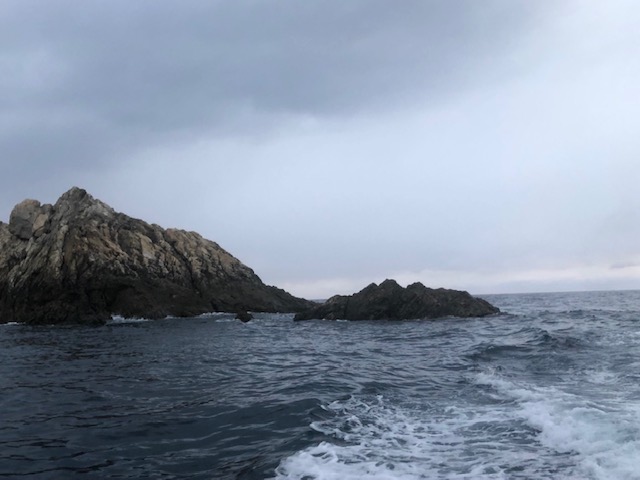 和歌山県日高町田杭のフカセ釣りでヤイトガツオ・グレ釣果