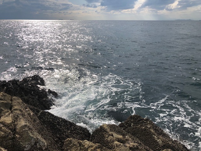 和歌山県日高町田杭のフカセ釣りでヤイトガツオ・グレ釣果