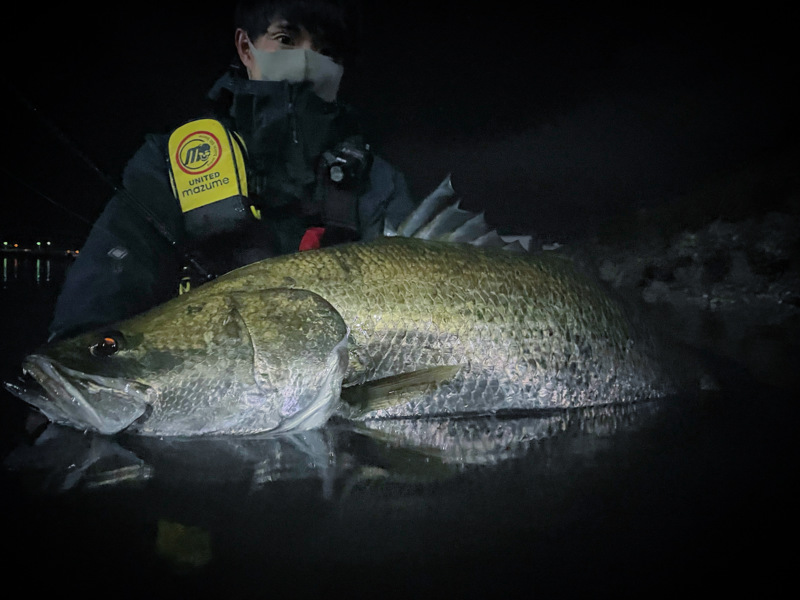 高知県浦戸湾のルアー釣りでアカメ釣果