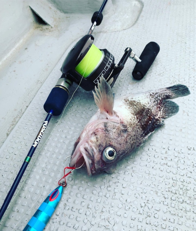 京都府舞鶴市ENSの船釣りで沖メバル・カガミダイ釣果