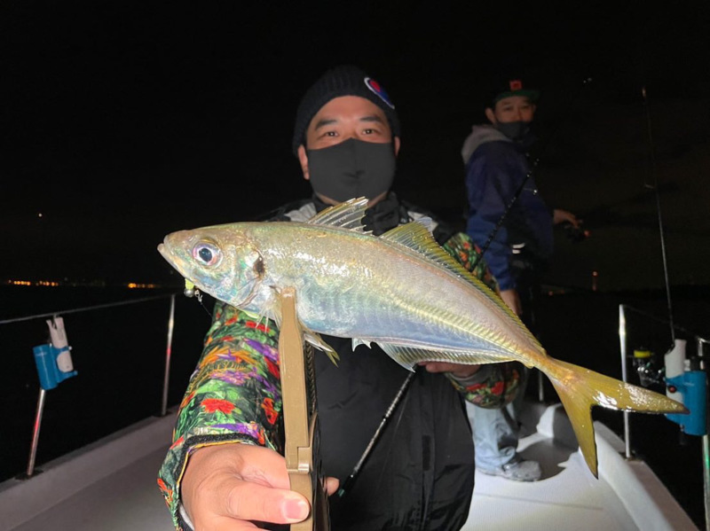 大阪府大正区 チェイスの船釣りでアジ釣果