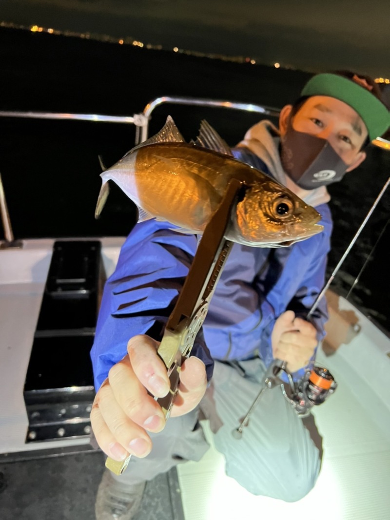 大阪府大正区 チェイスの船釣りでアジ釣果