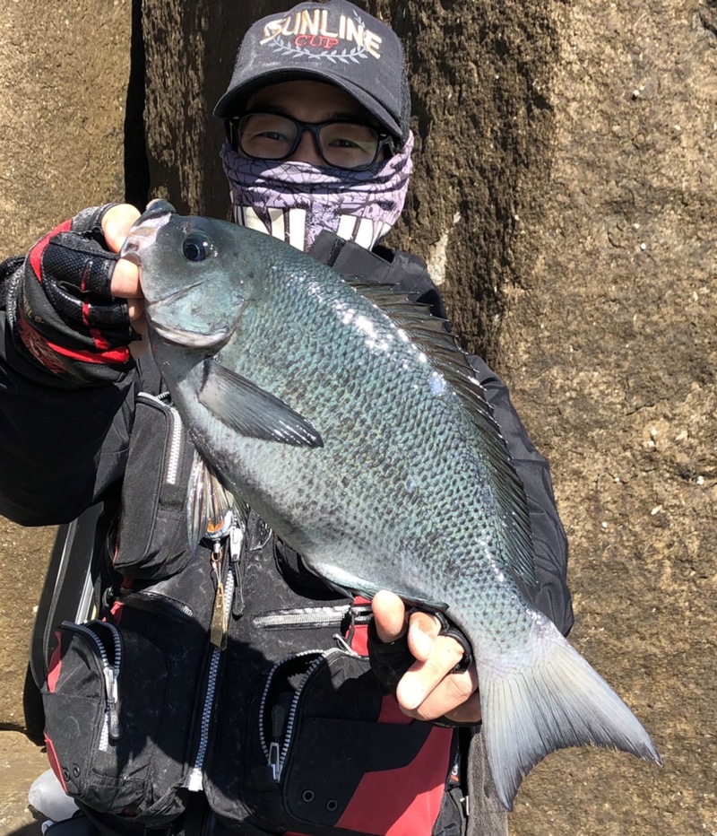 三重県尾鷲市梶賀の磯釣りで口太・ヤイトカツオ釣果