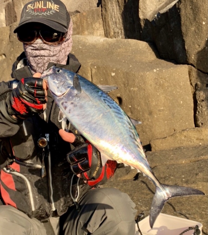 三重県尾鷲市梶賀の磯釣りで口太・ヤイトカツオ釣果