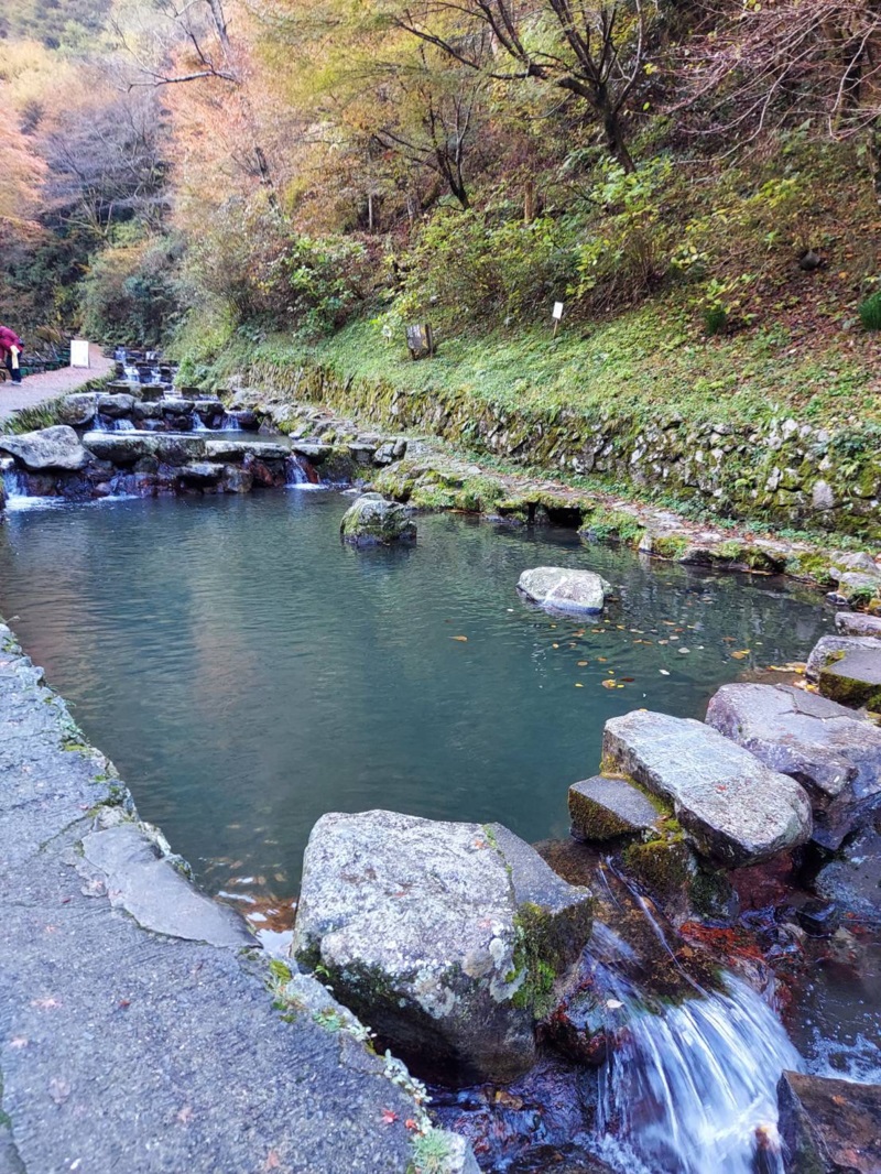 大阪府河内長野の千早川マス釣り場でニジマス釣果