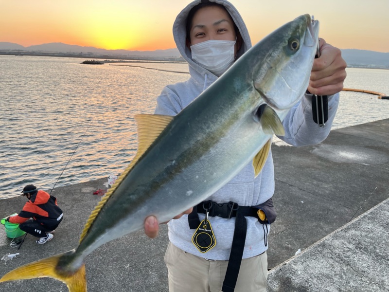 大阪府和泉北群 岸和田渡船の船釣りでツバス・メジロ釣果