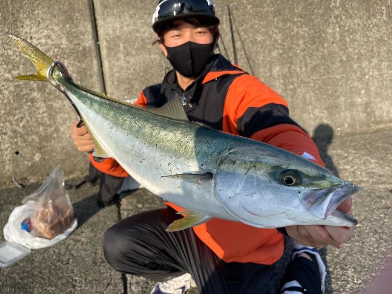 大阪府和泉北群 岸和田渡船の船釣りでツバス・メジロ釣果