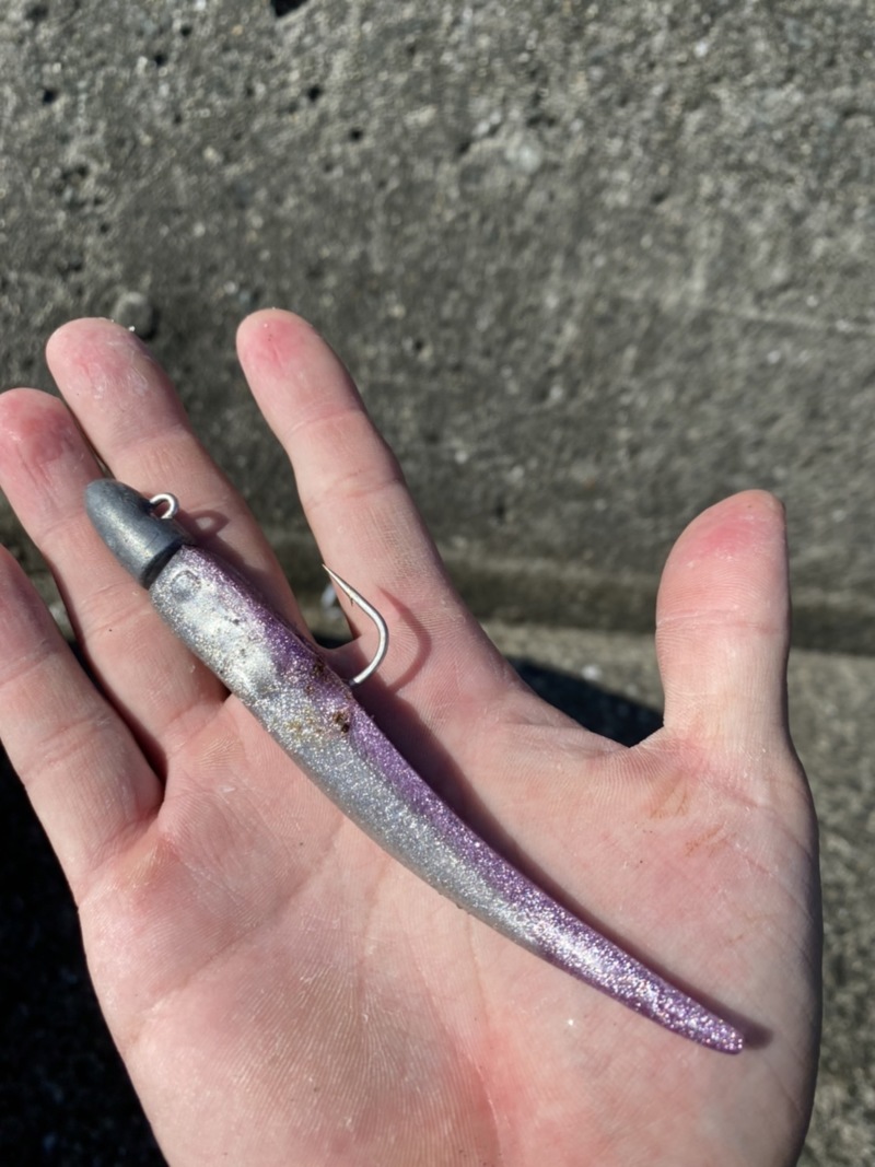 大阪府和泉北群 岸和田渡船の船釣りでツバス・メジロ釣果