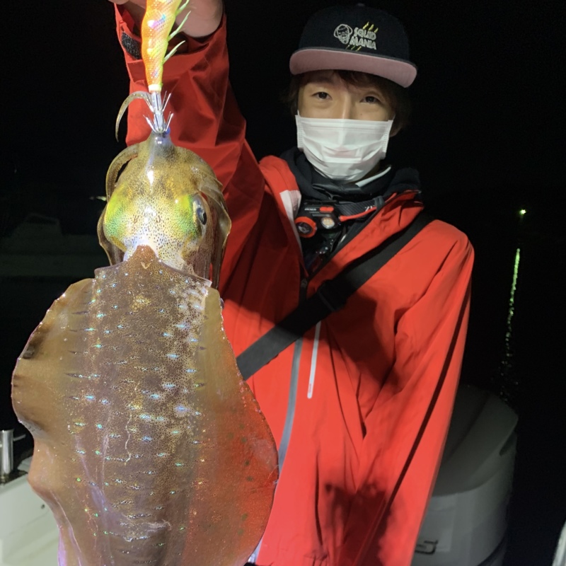 和歌山県南紀のボートエギングでアオリイカ釣果