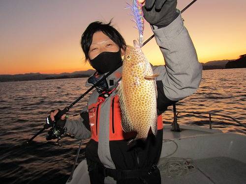 和歌山県田辺市のボートエギングでアオリイカ釣果