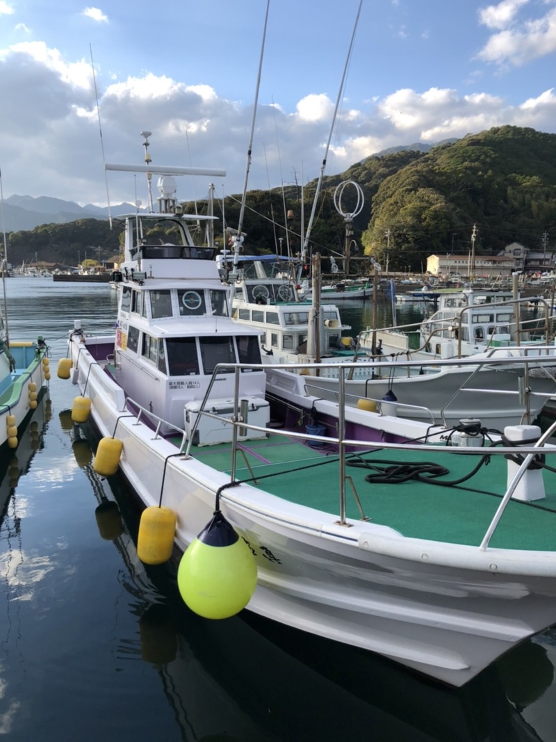 三重県尾鷲 真祐丸の船釣りでアマダイ・サバ・スルメイカ釣果