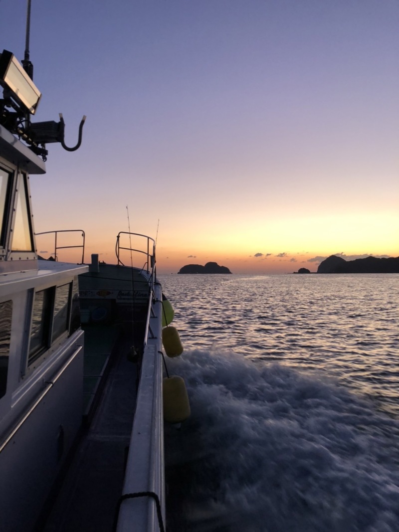 三重県尾鷲 真祐丸の船釣りでアマダイ・サバ・スルメイカ釣果