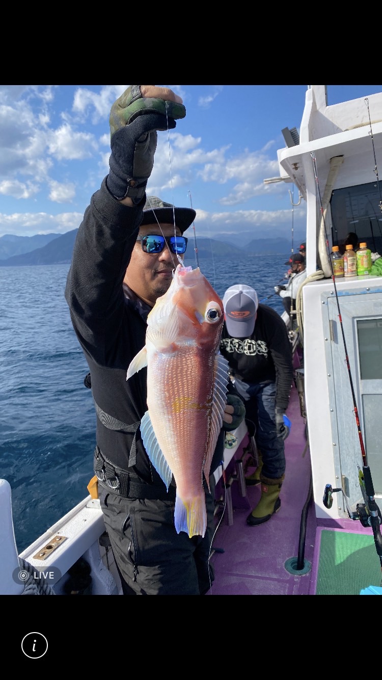 三重県尾鷲 真祐丸の船釣りでアマダイ・サバ・スルメイカ釣果