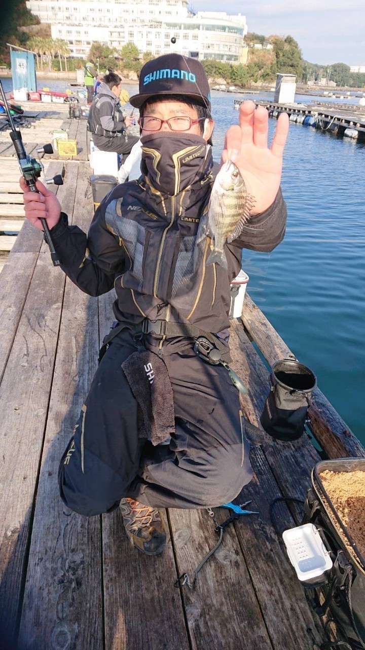 三重県鳥羽小浜 浜辺屋の筏釣りでチヌ釣果
