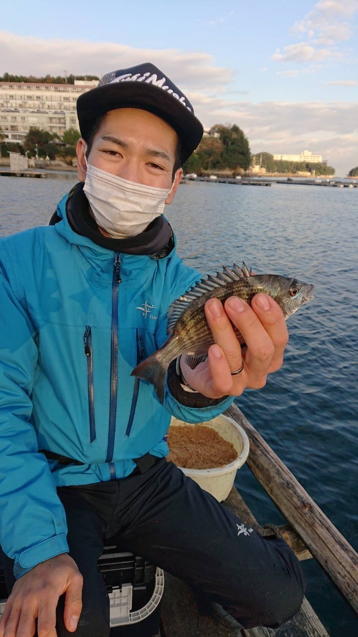 三重県鳥羽小浜 浜辺屋の筏釣りでチヌ釣果