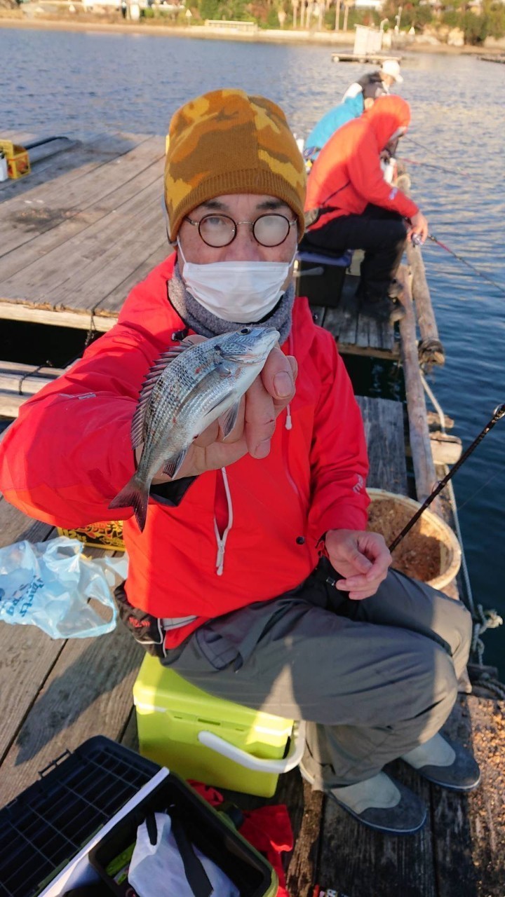 三重県鳥羽小浜 浜辺屋の筏釣りでチヌ釣果