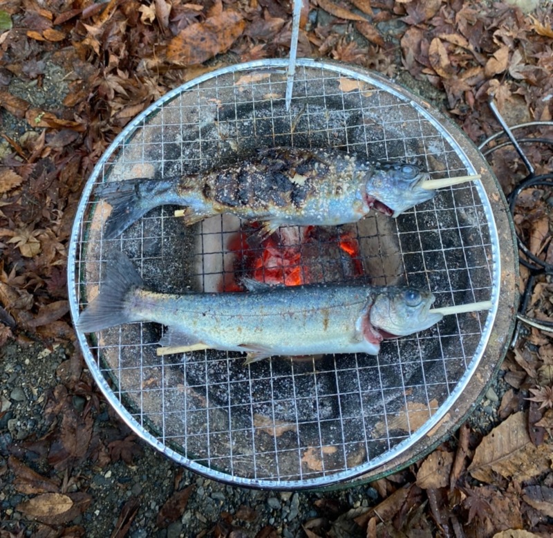 大阪府芥川マス釣り場の管理釣り場でニジマス釣果