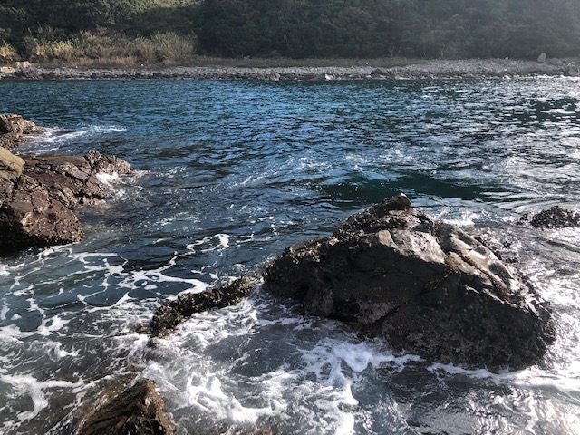 和歌山県日高町田杭 白井渡船のフカセ釣りでグレ釣果