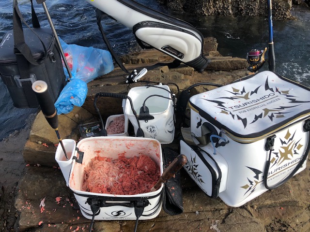 和歌山県日高町田杭 白井渡船のフカセ釣りでグレ釣果