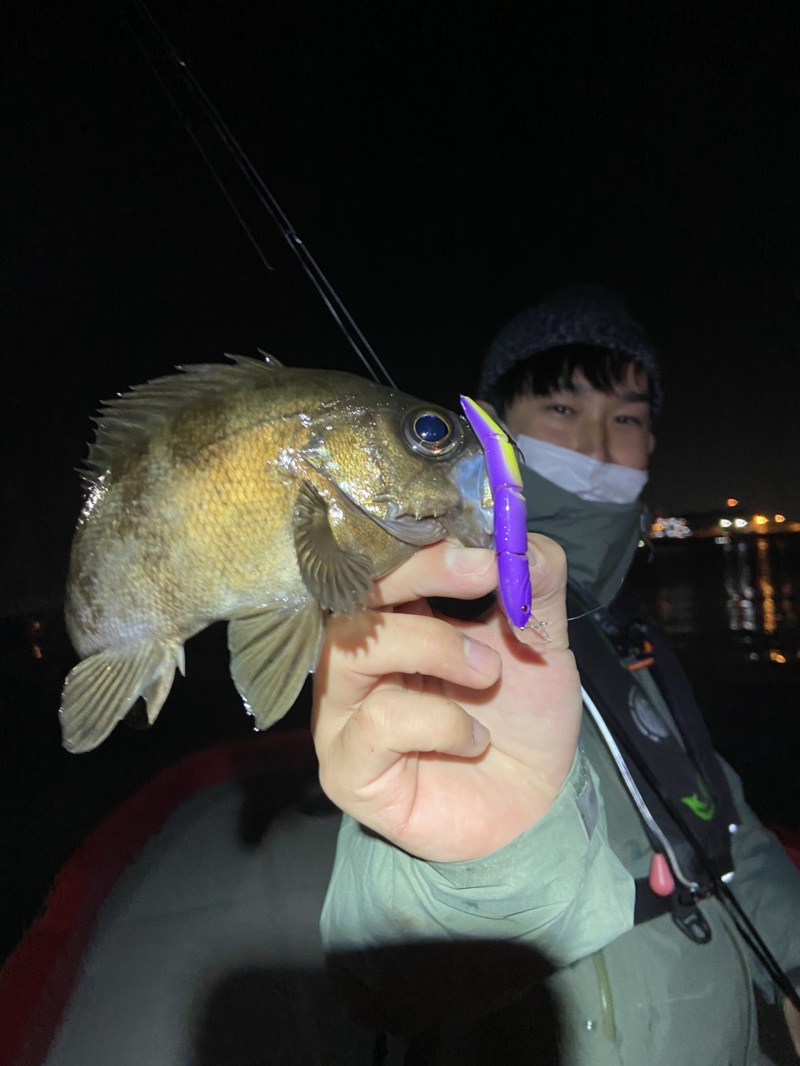 大阪府堺市 シーマジカルの船釣りでメバル・アジ釣果