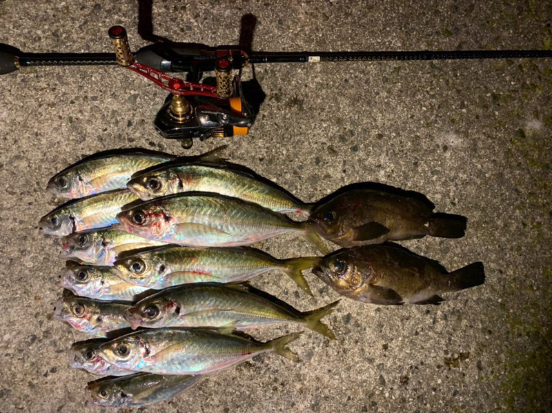 兵庫県淡路島のライトゲームでアジ・メバル釣果