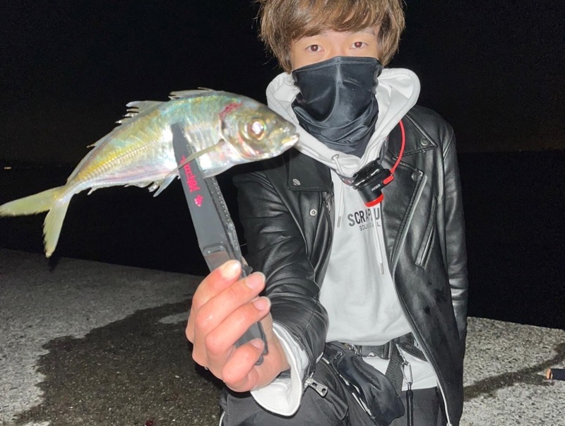 兵庫県淡路島のライトゲームでアジ・メバル釣果