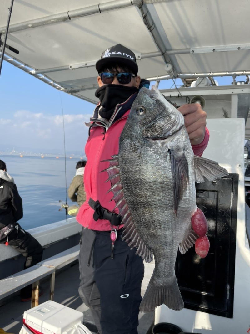 兵庫県明石市 村由丸の船釣りでチヌ・ホウボウ釣果