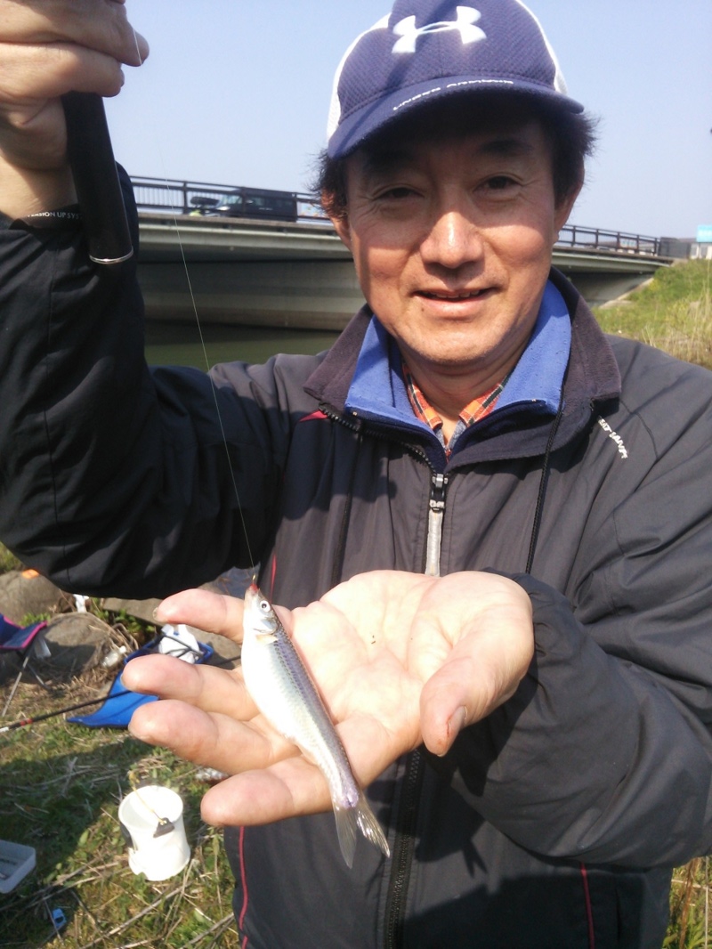 【滋賀県】長浜周辺&マキノ浜|淡水ウキ釣り、本モロコ釣果