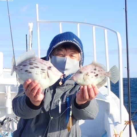 徳島県阿南市 水天丸の船釣りでカワハギ釣果