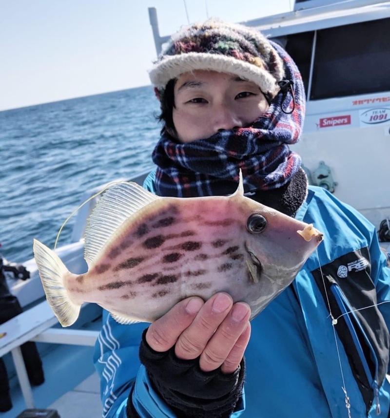 徳島県阿南市 水天丸の船釣りでカワハギ釣果