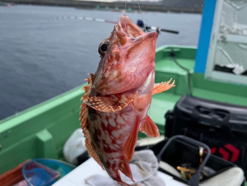 和歌山県串本 河田フィッシングの船釣りでカワハギ釣果