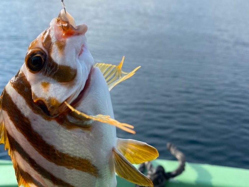 和歌山県串本 河田フィッシングの船釣りでカワハギ釣果