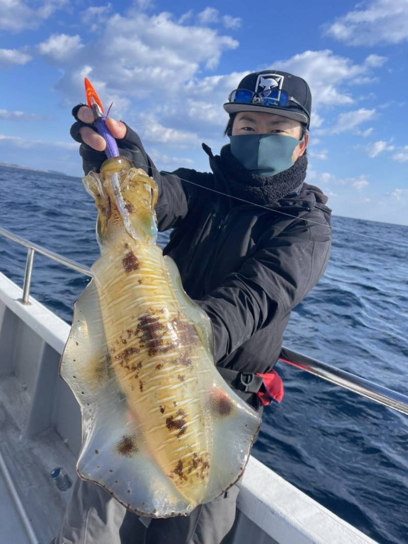 三重県伊勢志摩 まると屋の船釣りでアオリイカ・モンゴイカ釣果