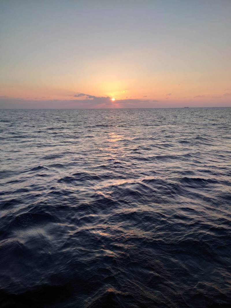 三重県伊勢志摩 まると屋の船釣りでアオリイカ・モンゴイカ釣果